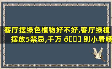 客厅摆绿色植物好不好,客厅绿植摆放5禁忌,千万 🐋 别小看哦!